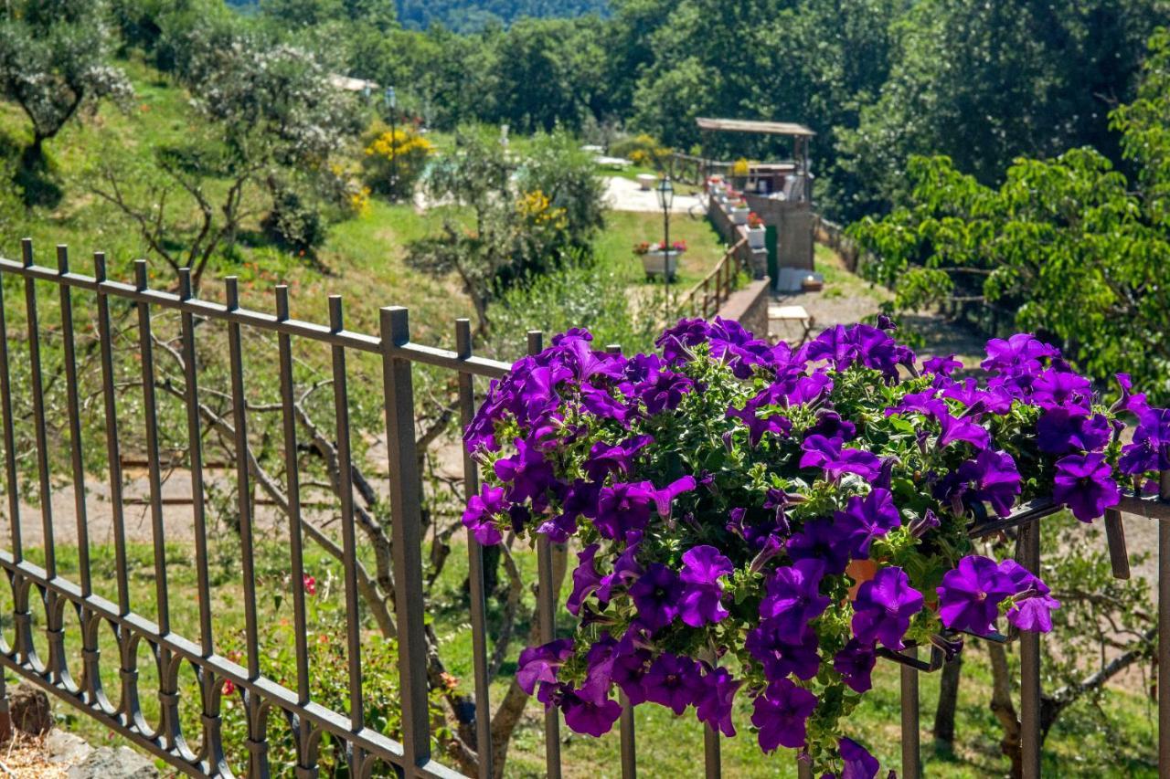 Podere Figlinelle Starda Exterior photo