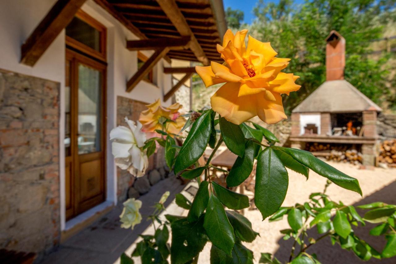 Podere Figlinelle Starda Exterior photo